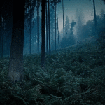 Aokigahara Forest in Japan: The Haunting Beauty Beneath the Silence